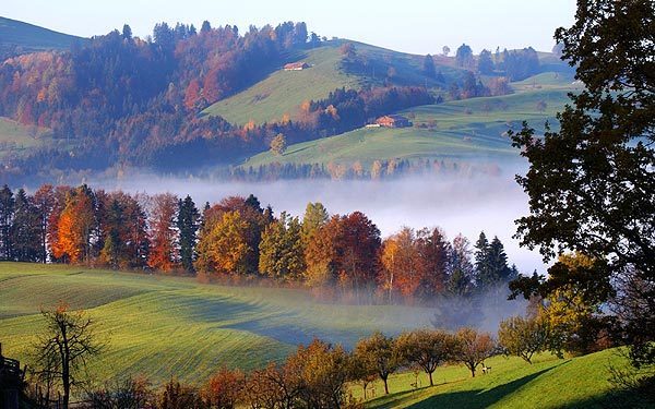 網(wǎng)站內(nèi)容測試，請及時刪除！