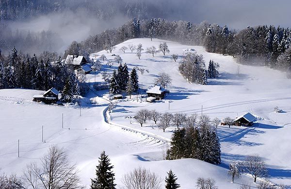 網(wǎng)站內(nèi)容測試