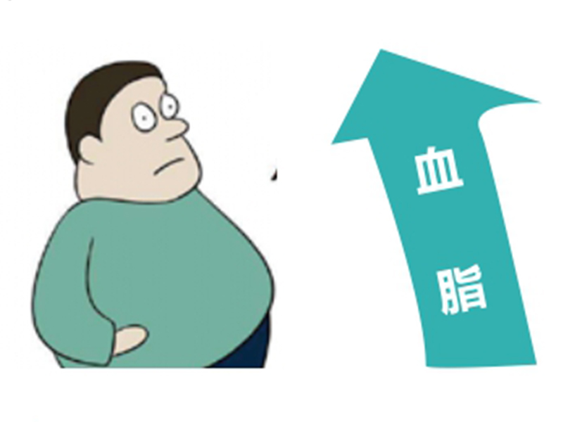 高血脂個(gè)體化用藥基因檢測(cè)