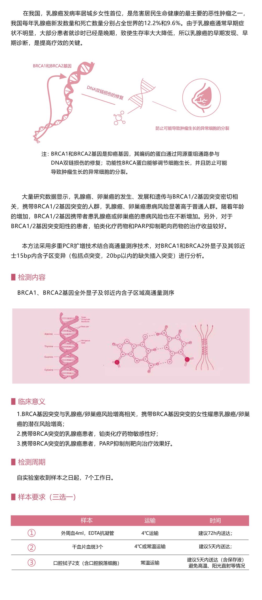 Brca1-2基因檢測(cè)